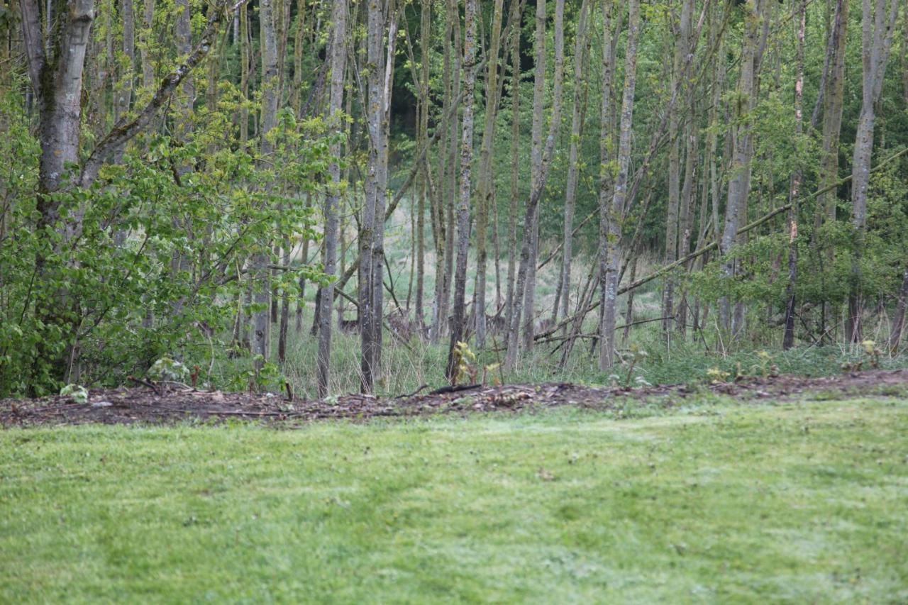 Chalet Forsthof Everstorf Grevesmuehlen Buitenkant foto