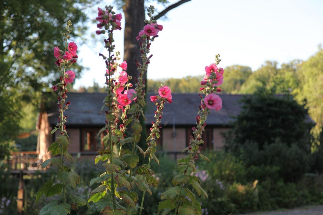 Chalet Forsthof Everstorf Grevesmuehlen Buitenkant foto