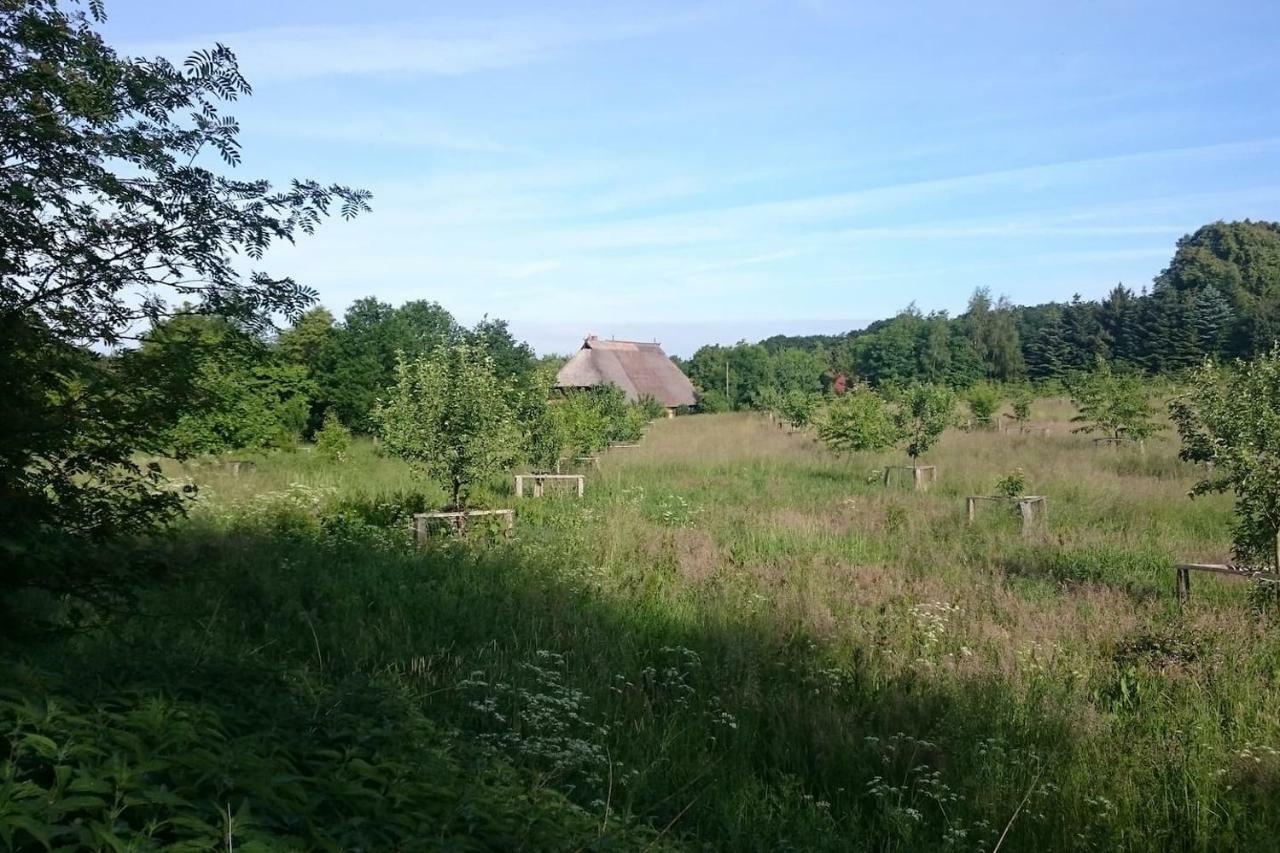 Chalet Forsthof Everstorf Grevesmuehlen Buitenkant foto
