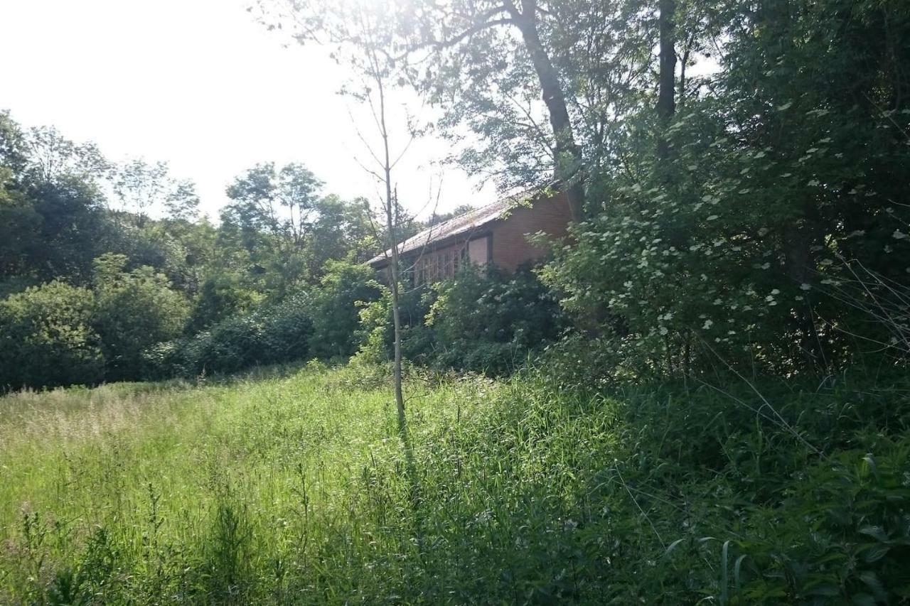 Chalet Forsthof Everstorf Grevesmuehlen Buitenkant foto